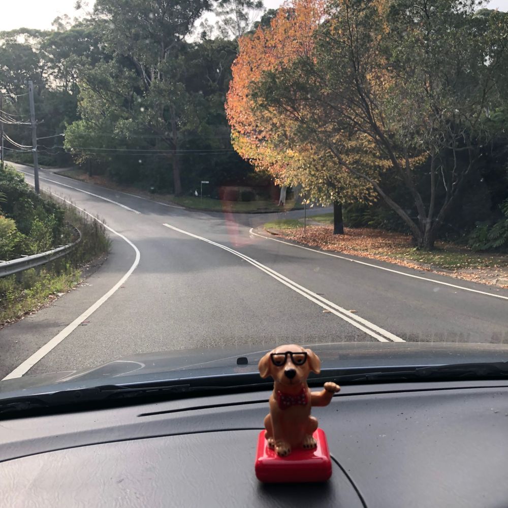 61330530_2269011723321470_5154248775706869760_n